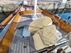Berthon Boat Classique Plan Holman BILD 9