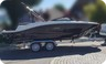 Sea Ray 190 SPXE mit Trailer (AUF Lager) - 