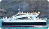 Custom built/Eigenbau Pasenger Power Catamaran - 