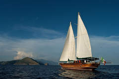 Ticari Yat Gulet (zeilboot)