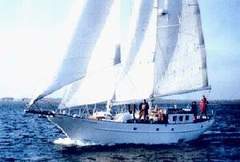 Schoner 17 m (zeilboot)